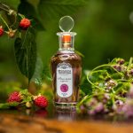 عطر ادکلن لسنایا مالینا ای دوشیتسا - والد رسپبریز اند اورگانو بروکارد - Лесная Малина и Душица - Wild Raspberries and Oregano Brocard - بررسی، قیمت و خرید