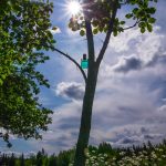 عطر ادکلن کلین رین کلین - Clean Rain Clean - بررسی، قیمت و خرید