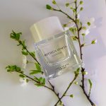 عطر ادکلن ایلوژیون تونکا سولر بوتگا ونتا - Illusione Tonka Solaire Bottega Veneta - بررسی، قیمت و خرید