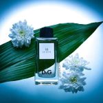 عطر ادکلن دی اند جی آنتولوژی لا لون هژده دولچه اند گابانا - D&G Anthology La Lune 18 Dolce&Gabbana - بررسی، قیمت و خرید
