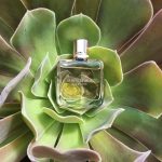 عطر ادکلن ایرزیستبل ژیوانشی ژیوانشی - Irresistible Givenchy Givenchy - بررسی، قیمت و خرید