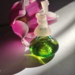 عطر ادکلن فمینا البـرتا فـرتـی - Femina Alberta Ferretti - بررسی، قیمت و خرید