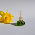 عطر ادکلن فمینا البـرتا فـرتـی - Femina Alberta Ferretti - بررسی، قیمت و خرید