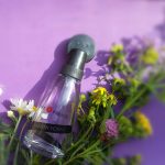 عطر ادکلن پرت آ پورته کوتی - Pret a Porter Coty - بررسی، قیمت و خرید