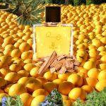 عطر ادکلن او ای بوگ - OE Bogue - بررسی، قیمت و خرید