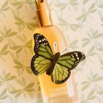 عطر ادکلن کلینیک رپینگس کلینیک - Clinique Wrappings Clinique - بررسی، قیمت و خرید