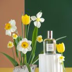 عطر ادکلن اسپرینگ بلوم بروکارد - Spring Bloom Brocard - بررسی، قیمت و خرید
