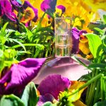 عطر ادکلن یوفوریا بلوسوم کلوین کلاین - Euphoria Blossom Calvin Klein - بررسی، قیمت و خرید