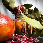 عطر ادکلن کی بای دولچه اند گابانا دولچه اند گابانا - Q by Dolce & Gabbana Dolce&Gabbana - بررسی، قیمت و خرید