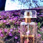 عطر ادکلن بیاند پارادایس اِستِه لادِر - Beyond Paradise Estée Lauder - بررسی، قیمت و خرید