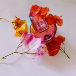 عطر ادکلن اومنیا بای مری کاترنتزو بولگاری - Omnia by Mary Katrantzou Bvlgari - بررسی، قیمت و خرید