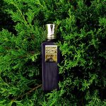 عطر ادکلن تیب بلند عود - Teeb Blend Oud - بررسی، قیمت و خرید