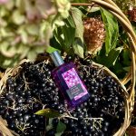 عطر ادکلن کالر فیلینگ پرپل بروکارد - Color Feeling Purple Brocard - بررسی، قیمت و خرید