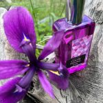 عطر ادکلن کالر فیلینگ پرپل بروکارد - Color Feeling Purple Brocard - بررسی، قیمت و خرید