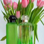 عطر ادکلن کانسنترِ دو پامپلوموس رُز هرمس - Concentré de Pamplemousse Rose Hermès - بررسی، قیمت و خرید