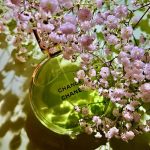 عطر ادکلن چنس او فرش او دو پارفوم شنل - Chance Eau Fraiche Eau de Parfum Chanel - بررسی، قیمت و خرید