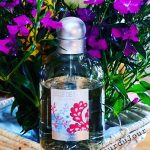 عطر ادکلن بل دو سویل فراگونارد - Belle de Soleil Fragonard - بررسی، قیمت و خرید