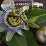 عطر ادکلن تو وان تو وی‌آی‌پی رز کارولینا هررا - 212 VIP Rosé Carolina Herrera - بررسی، قیمت و خرید