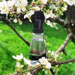 عطر ادکلن پرت آ پورته کوتی - Pret a Porter Coty - بررسی، قیمت و خرید