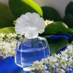 عطر ادکلن آکوافلور کارولینا هررا - AquaFlore Carolina Herrera - بررسی، قیمت و خرید