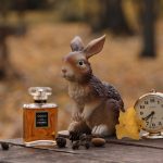 عطر ادکلن کوکو او دو پرفیوم شانل - Coco Eau de Parfum Chanel - بررسی، قیمت و خرید