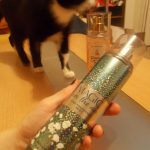 عطر ادکلن بوردواک مارشملو کلودز بث اند بادی ورکس - Boardwalk Marshmallow Clouds Bath & Body Works - بررسی، قیمت و خرید