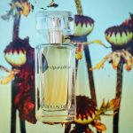 عطر ادکلن بیاند پارادایس اِستِه لادِر - Beyond Paradise Estée Lauder - بررسی، قیمت و خرید