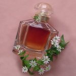 عطر ادکلن مون گرلن گِرلَن - Mon Guerlain Guerlain - بررسی، قیمت و خرید