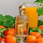 عطر ادکلن آکوا الگوریا فورته ماندارین باسیلیک گرلن - Aqua Allegoria Forte Mandarine Basilic Guerlain - بررسی، قیمت و خرید