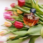 عطر ادکلن شالیمار میلیسیم جاسمین گرلن - Shalimar Millésime Jasmin Guerlain - بررسی، قیمت و خرید