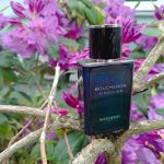 عطر ادکلن بوشهرون سنگولیر بوشِرون - Boucheron Singulier Boucheron - بررسی، قیمت و خرید