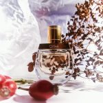 عطر ادکلن نوماد جزمین ناتورل اینتنس کلوئه - Nomade Jasmin Naturel Intense Chloé - بررسی، قیمت و خرید