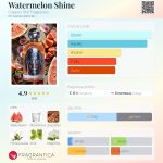 عطر ادکلن واترملون شاین کاپر استیل فرگرنس - Watermelon Shine Copper Still Fragrance - بررسی، قیمت و خرید
