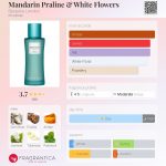 عطر ادکلن مندارین پرالین اند وایت فلاورز بسپوک لندن - Mandarin Praline & White Flowers Bespoke London - بررسی، قیمت و خرید