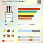 عطر ادکلن سه‌ج اند بلک تی رنیو داکیومنت - Sage & Black Tea Renew Dossier - بررسی، قیمت و خرید