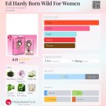 عطر ادکلن اد هاردی بورن وایلد فور وومن کریستین اودیژیه - Ed Hardy Born Wild For Women Christian Audigier - بررسی، قیمت و خرید