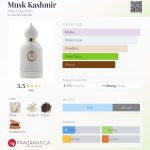 عطر ادکلن ماسک کشمیر اتار کالکشن - Musk Kashmir Attar Collection - بررسی، قیمت و خرید