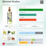 عطر ادکلن بلوسم میدو بای ایز - Blossom Meadow Bi-es - بررسی، قیمت و خرید
