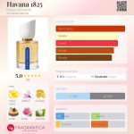 عطر ادکلن هاوانا ۱۸۲۵ هاوس آو پونته - Havana 1825 House of Puente - بررسی، قیمت و خرید
