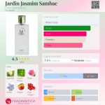 عطر ادکلن ژاردین جاسمین سامباک سیلکو کاسمِتیکس - Jardin Jasmim Sambac Ciclo Cosméticos - بررسی، قیمت و خرید