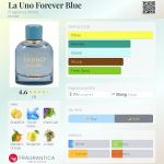 عطر ادکلن لا اونو فوراور بلو فراگرنس ورد - La Uno Forever Blue Fragrance World - بررسی، قیمت و خرید