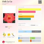 عطر ادکلن او لا لا باد پرفیومز - Ooh La La Bud Parfums - بررسی، قیمت و خرید