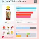 عطر ادکلن اد هاردی ویلن فور وومن کریستین اودجیه - Ed Hardy Villain for Women Christian Audigier - بررسی، قیمت و خرید