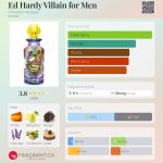 عطر ادکلن اد هاردی ویلن فور من کریستین اودیژیه - Ed Hardy Villain for Men Christian Audigier - بررسی، قیمت و خرید