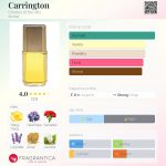 عطر ادکلن کرینگتون چارلز د ریتز - Carrington Charles of the Ritz - بررسی، قیمت و خرید
