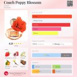 عطر ادکلن کوچ پاپی بلاسوم کوچ - Coach Poppy Blossom Coach - بررسی، قیمت و خرید