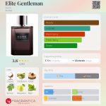 عطر ادکلن الیت جنتلمن ایوون - Elite Gentleman Avon - بررسی، قیمت و خرید