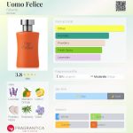 عطر ادکلن اوُمو فلیچه فابرلیک - Uomo Felice Faberlic - بررسی، قیمت و خرید