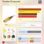 عطر ادکلن تسنیم عبدالسلام عطارز پرفیومز - Tasnim (Tasneem) Abdes Salaam Attars Perfumes - بررسی، قیمت و خرید