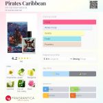 عطر ادکلن پایرتس آو د کریبین ایر-وال اینترنشنال - Pirates Caribbean Air-Val International - بررسی، قیمت و خرید